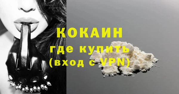 соль ск Кукмор