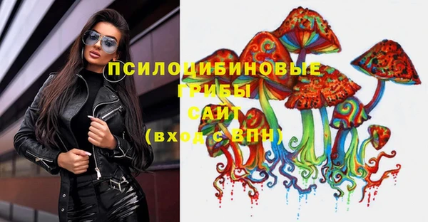соль ск Кулебаки