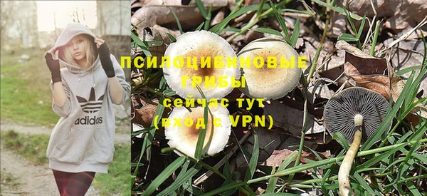 соль ск Кукмор