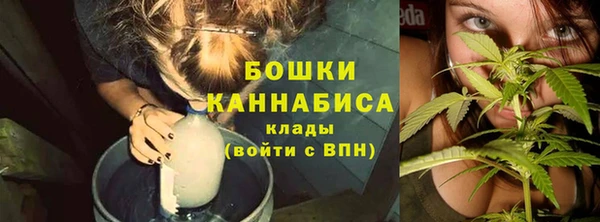 соль ск Кукмор